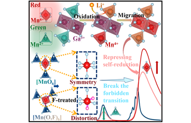 Manganese valence modulation in ZnGa2O4 via simultaneously localized charge accumulation and oxygen vacancy engineering controlled by Li+ and F- substitutions for tailored applications 2026.100868